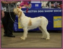 22-01-12 M GoodAsGold_IMG_7642